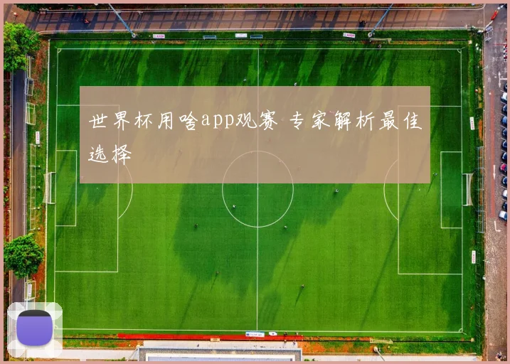 世界杯用啥app观赛 专家解析最佳选择