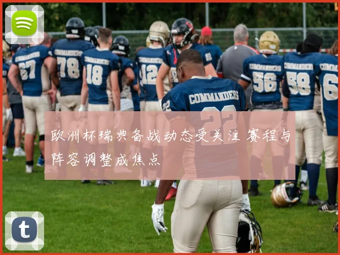 欧洲杯瑞典备战动态受关注 赛程与阵容调整成焦点