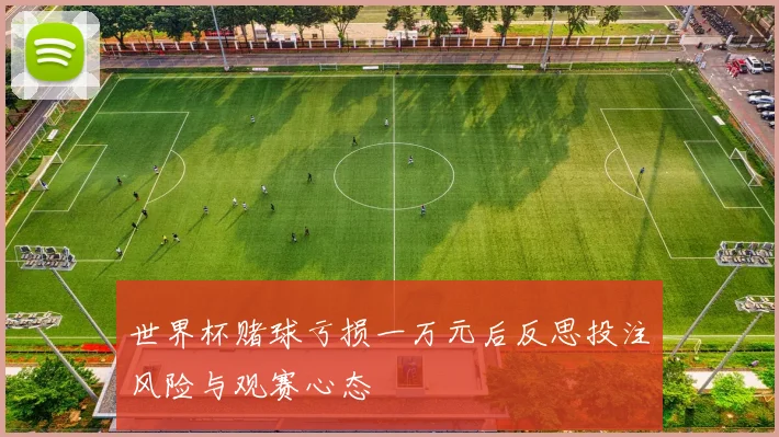 世界杯赌球亏损一万元后反思投注风险与观赛心态